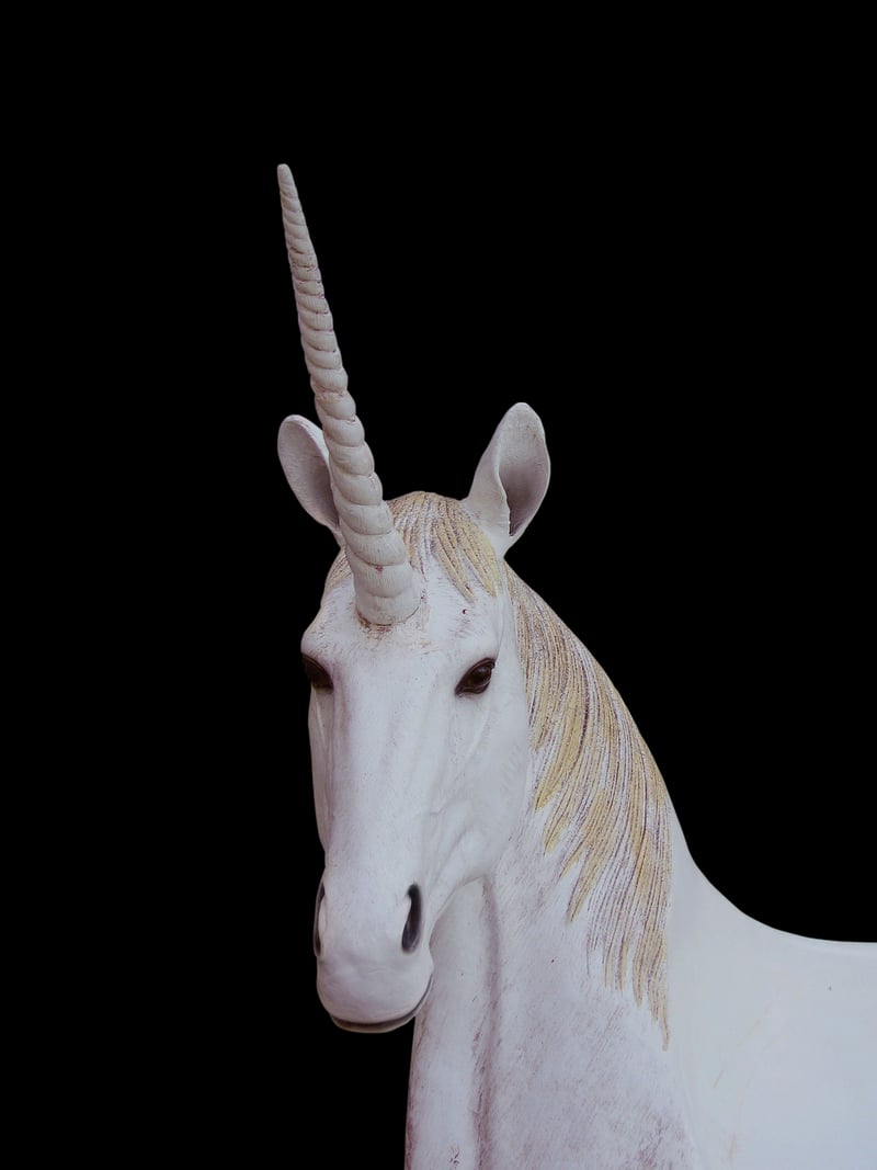 Coastal Cliffs Unicorn